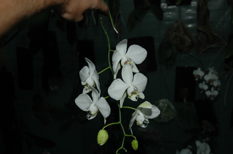 DSC_0157.JPG