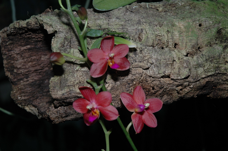 DSC_0162.JPG
