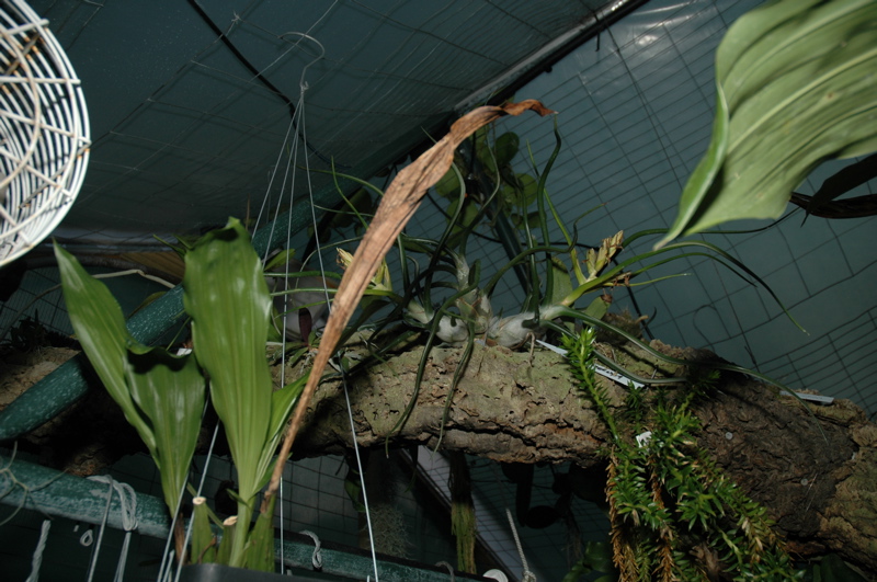 DSC_0163.JPG
