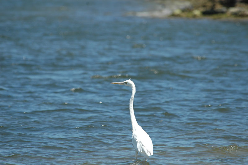 DSC_1852