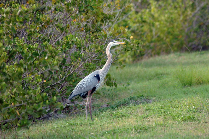 DSC_1888