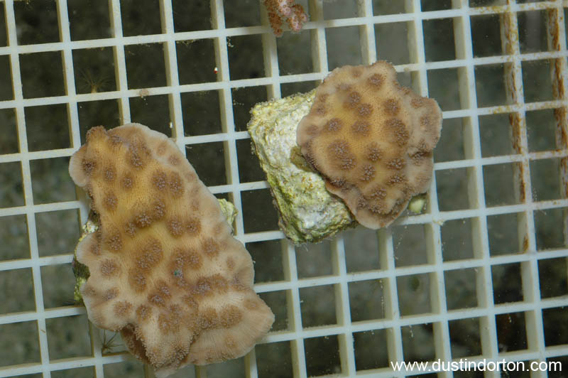 DSC_3846