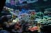 DSC_2423