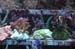 DSC_2449
