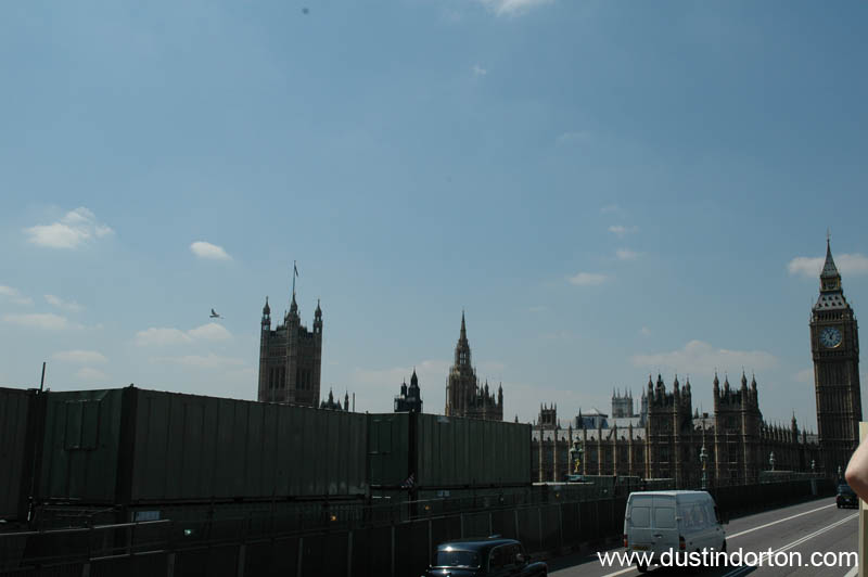 DSC_3305